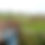 Thumbnail: Birding tour voucher