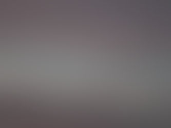 Swarming swallows