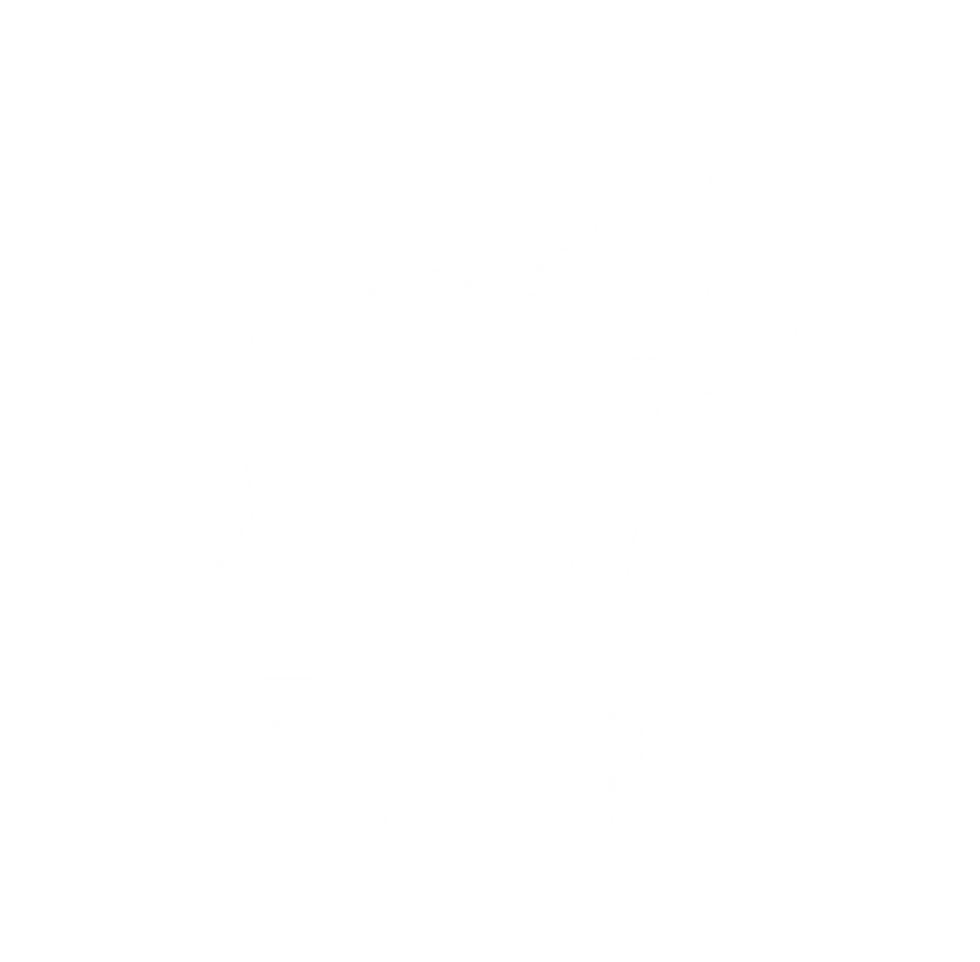 VESTIBULAR ICON .png