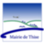 Logo Thise - 2014-Constantia-2000x2000px