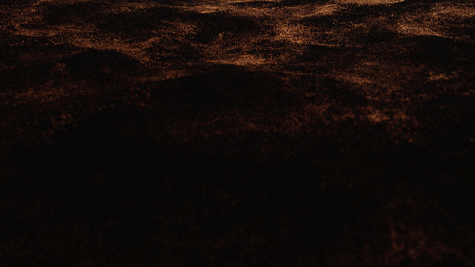 Tomakti_Dis_Project14