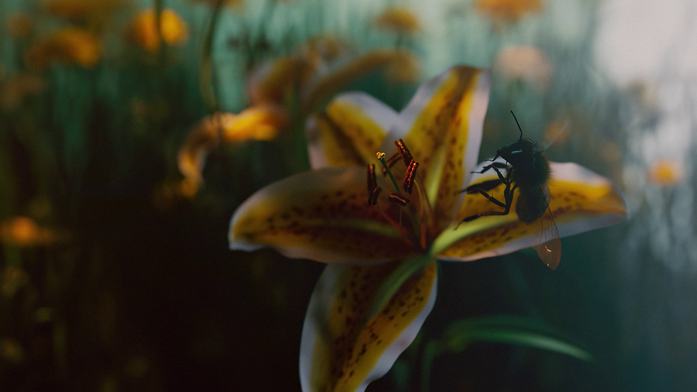 Tomakti_Studio_Little_things_That_Moves_the_world_45