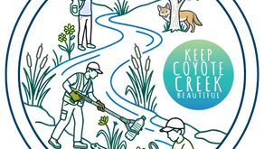 Watershed Wanderer: The 64-Mile Challenge