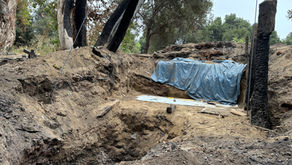 How the Homeless Are Changing the Landscape of Coyote Creek