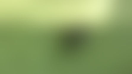 From Spiders to Dragonflies, Hellyer Park Has it All