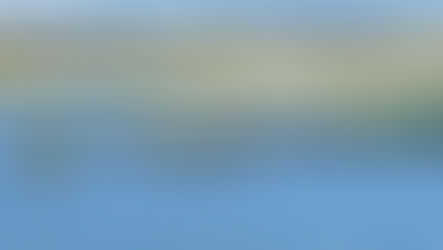 Wheels and Wildlife June Tour a Hit