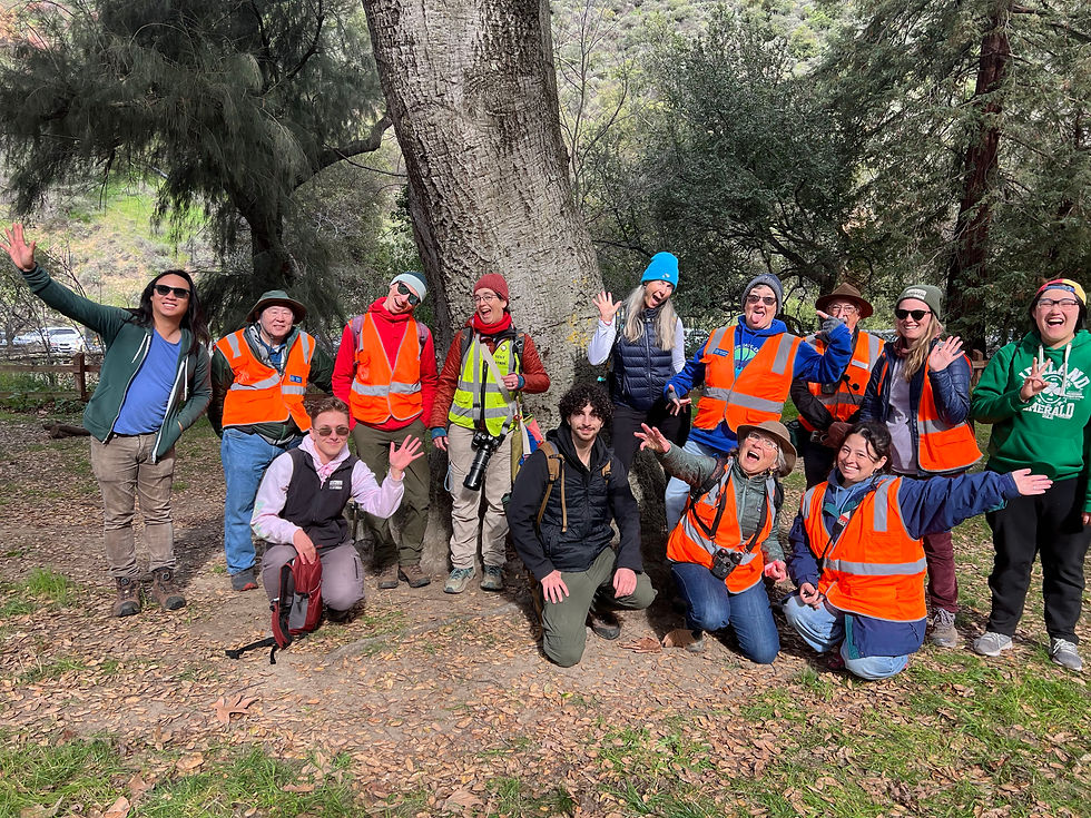 Docents after a BioBlitz