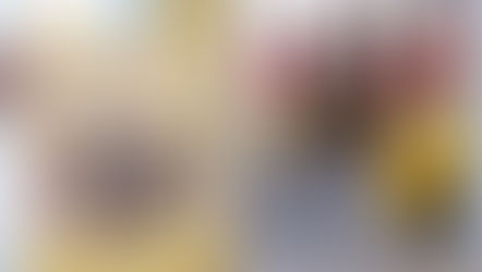 加拿大观音堂文化中心2017年8月12日视频分享会圆满成功