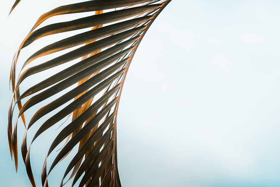 AdobeStock_287665839.jpeg