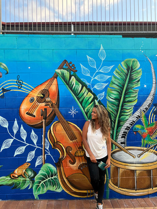 Bright and colorful mural featuring music instruments and nature for a school in Gold Coast. Street art 
