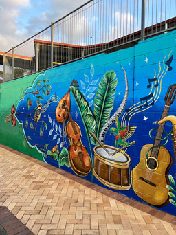 street art, mural for schools, Gold Coast mural art. 