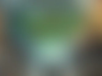 #40 Becoming Your Future Self: Envisioning and Channeling Your Best Version