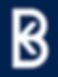 Bitkove logo 1.png