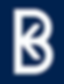 Bitkove logo 1.png