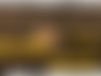 Co mi dało ostatnie pół roku?