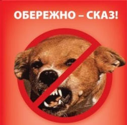 f3e7b8e54692f61f5a66a29eba7d0476.jpg