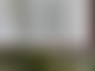 What is Trusting God?