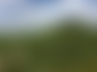 Especialista no bioma Pampa vai falar sobre mudanças climáticas na COP30