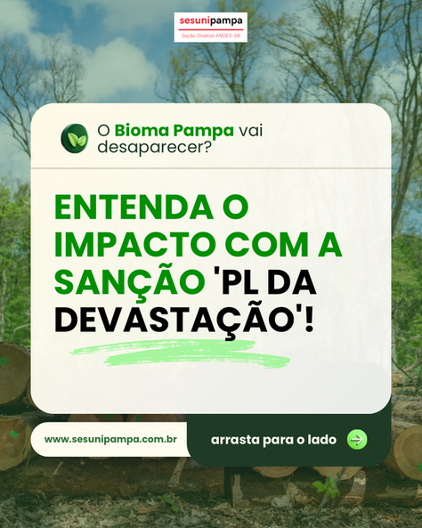 O Bioma Pampa vai desaparecer? Entenda o impacto com a sanção 'PL da Devastação'!