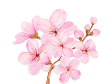 未命名設計 (4).png