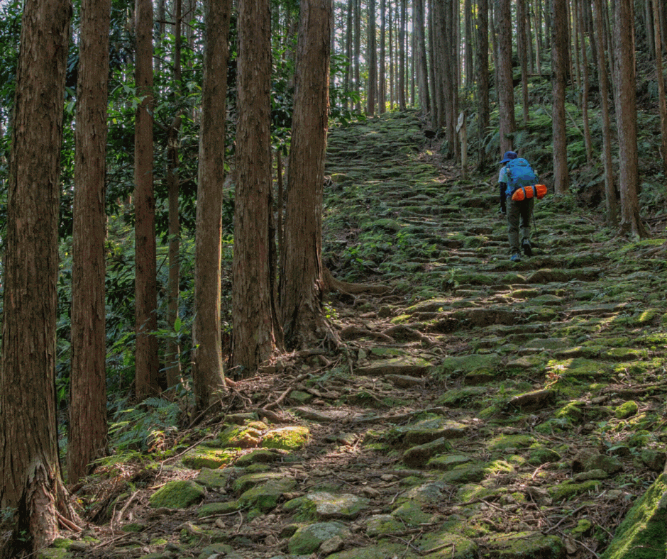 走進走進 (1).gif