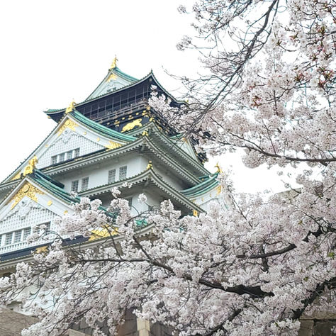 2026 櫻花季｜熊野古道 7天6夜特別行程    