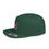 Thumbnail: Tribe Snapback