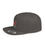 Thumbnail: Tribe Snapback