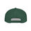 Thumbnail: Tribe Snapback
