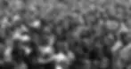 Crowd.webp
