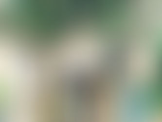 What do translators do?