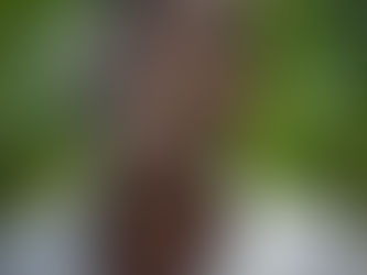 He Weaves a Complex Tapestry