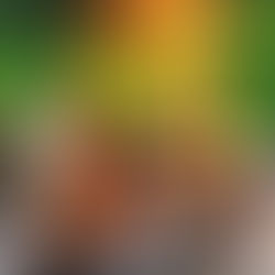 Natürliche Grillanzünder selber machen