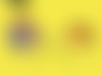 BookYourExpert.ch – Experten Portal (ganze Schweiz)