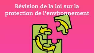 Pour des solutions de branche fortes: