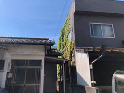 長谷屋奮闘記