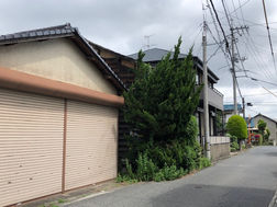 長谷屋奮闘記