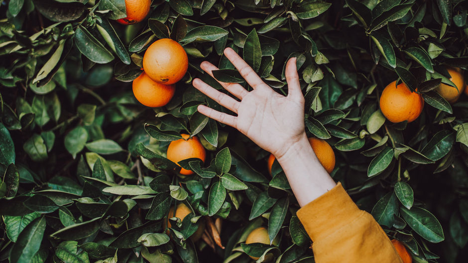 La naranja incompleta