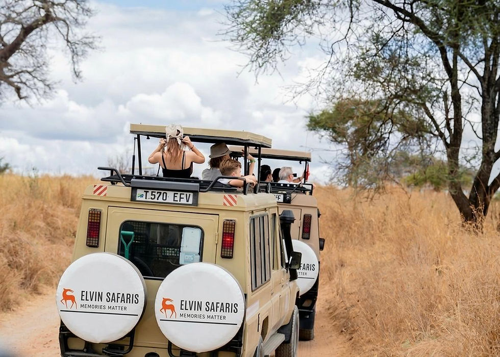 2 day tanzania safari
