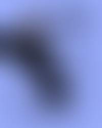 Lo que se afirma por dentro, no se derrumba por fuera