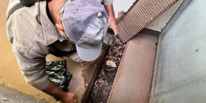 MS já registrou 8.384 casos confirmados de dengue