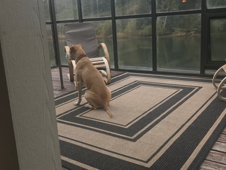 Off the beaten path.