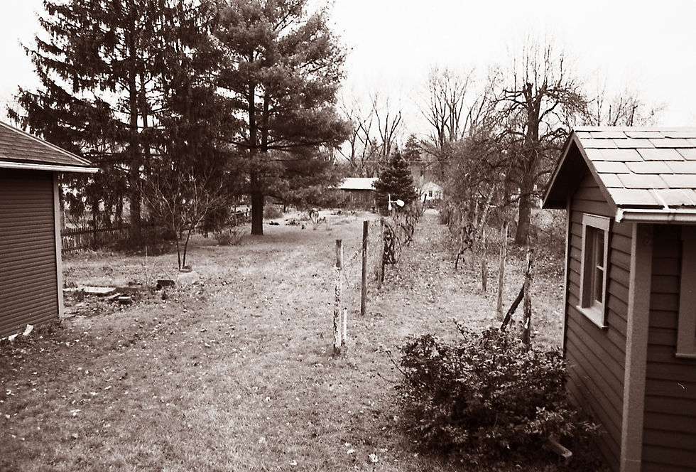 Sepia-toned backyard, two small sheds, bare trees, and grassy path.