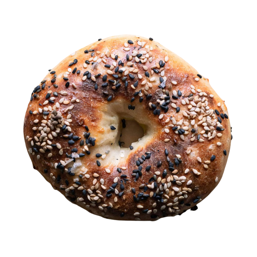 Bagel
