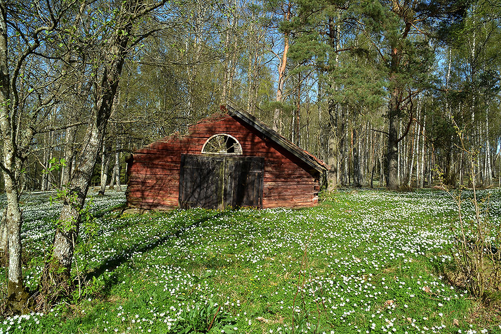 Kinnekulle. 2016-05-07.