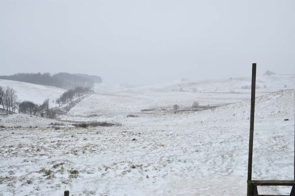 Vinter (11)