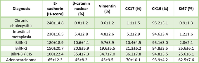 Quantitative immunohistochemical marker expression across gallbladder lesions