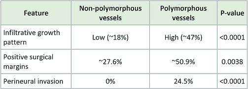 Association between dermatoscopic vascular patterns and adverse histopathologic features in basal cell carcinoma