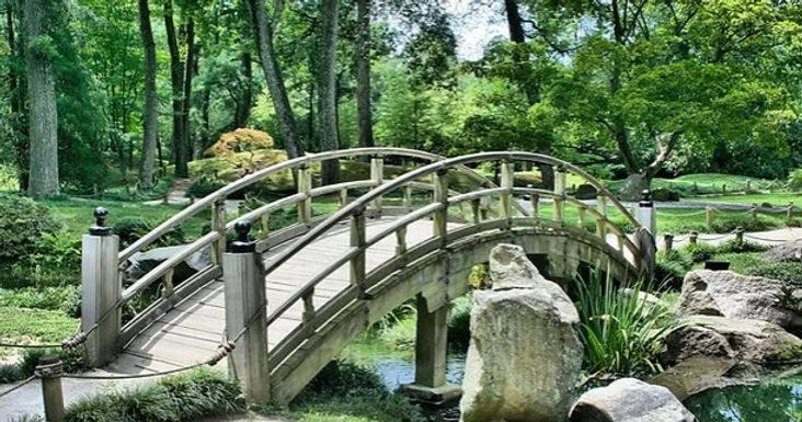 Japanese Bridge1.jpg