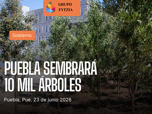 Puebla capital sembrará 10 mil árboles con programa Raíces del Futuro